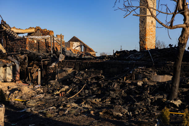Reliable Fire Damage Restoration contractor in Largo, FL by Fire Damage Doption