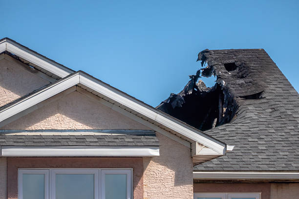 Top rated local Fire Damage Restoration specialists in Largo, FL